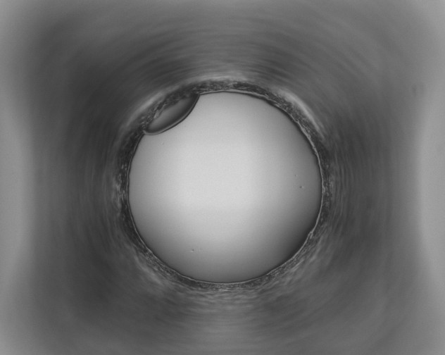 X0000113171064200909040929