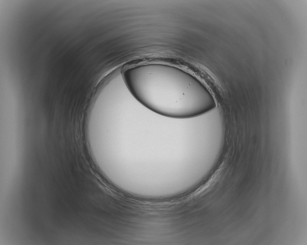 X0000113171065200909040929