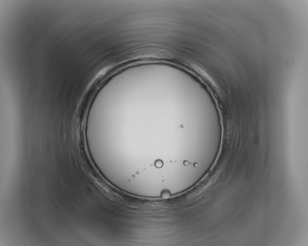 X0000113171067200909040929