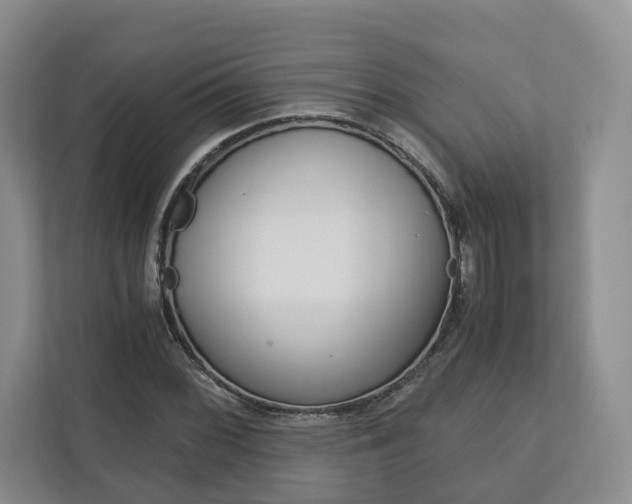 X0000113171068200909040929
