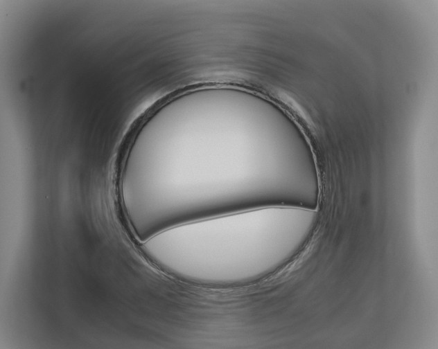 X0000113171071200909040929