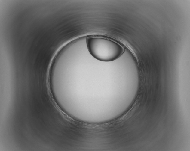 X0000113171072200909040929