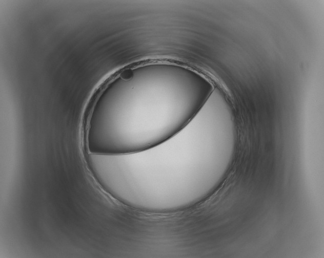 X0000113171076200909040929