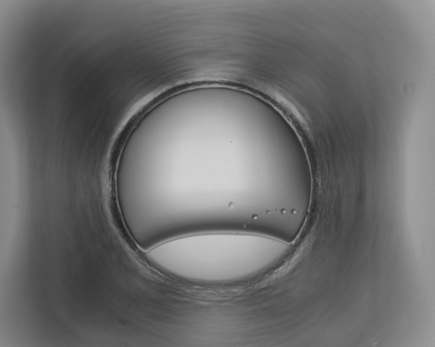 X0000113171077200909040929