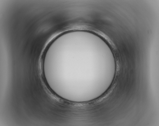 X0000113171078200909040929