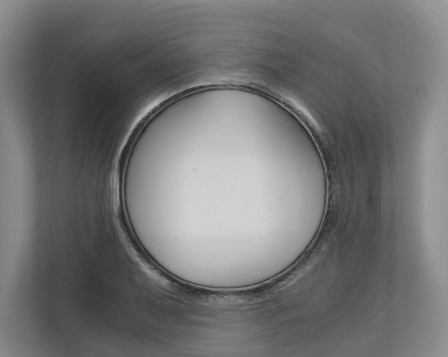 X0000113171079200909040929