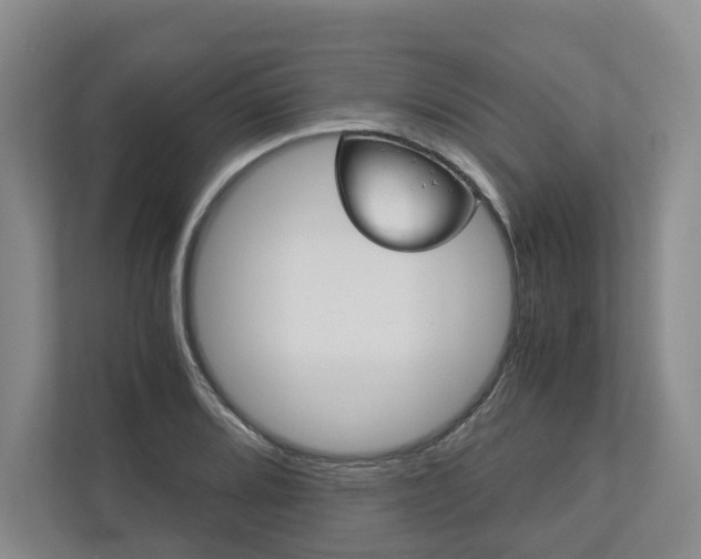 X0000113171080200909040929