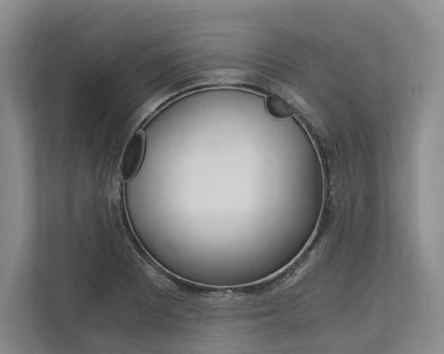 X0000113171081200909040929