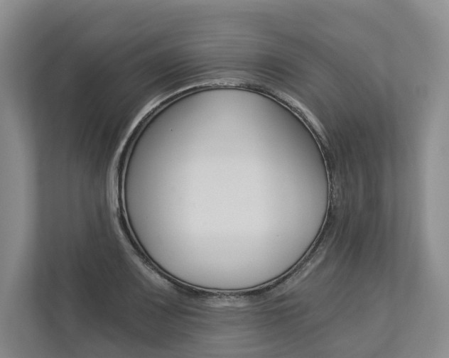 X0000113171083200909040929