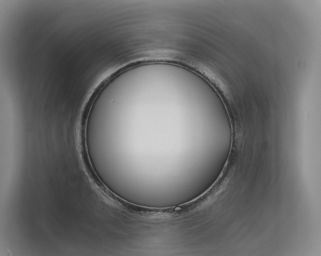 X0000113171085200909040929