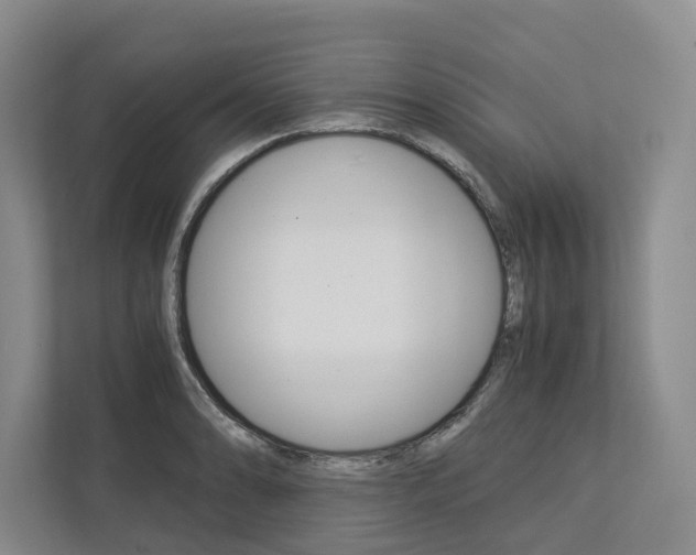 X0000113171086200909040929