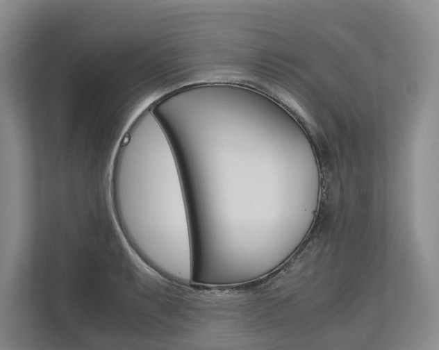 X0000113171087200909040929