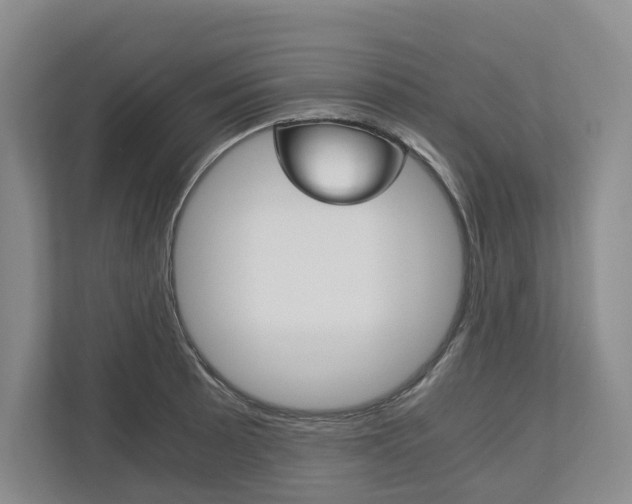 X0000113171089200909040929