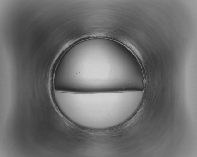 X0000113171093200909040929