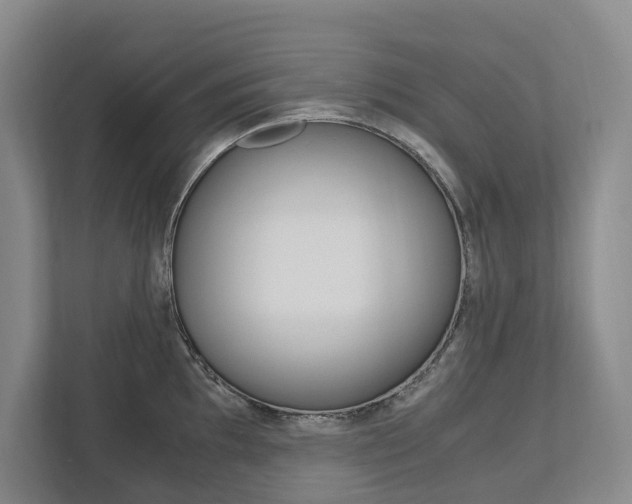 X0000113171097200909040929