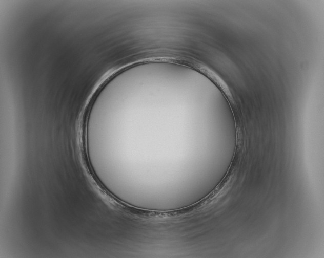 X0000113171099200909040929