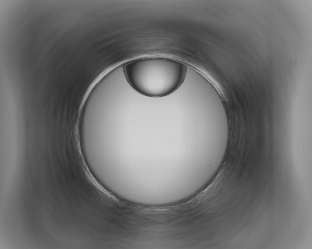 X0000113171100200909040929