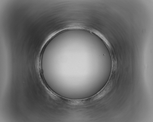 X0000113171101200909040929