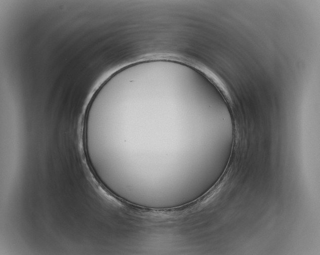 X0000113171102200909040929