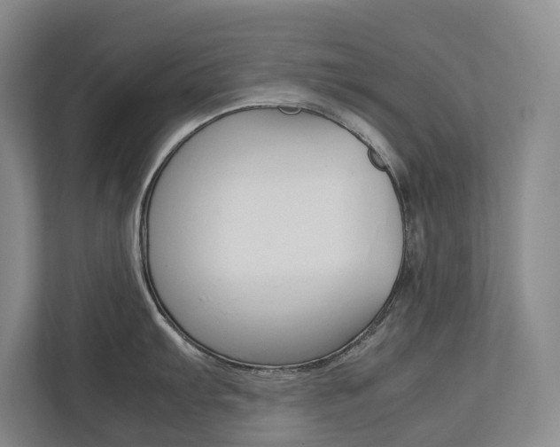 X0000113171103200909040929