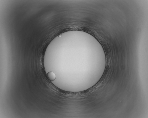X0000113171106200909040928