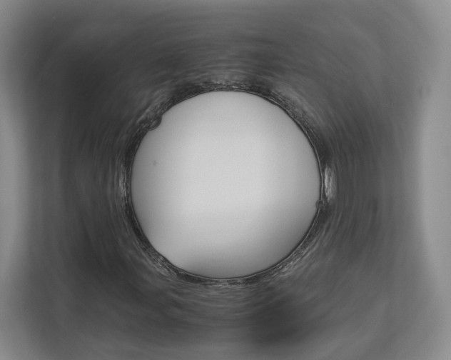 X0000113171107200909040928