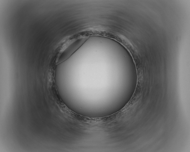 X0000113171110200909040928