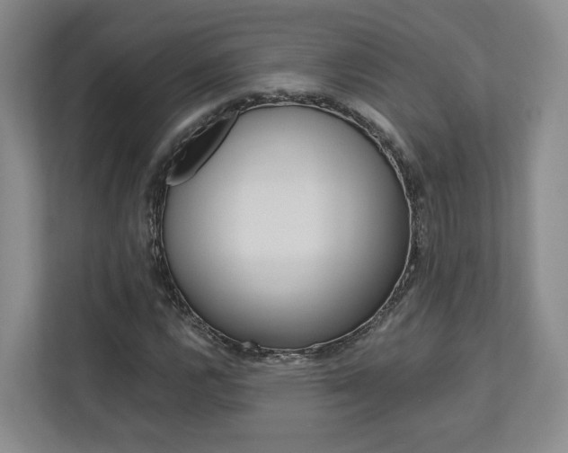 X0000113171112200909040928