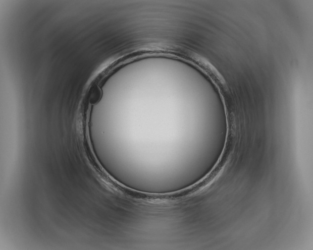 X0000113171114200909040928