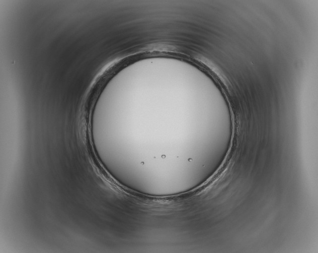X0000113171115200909040928