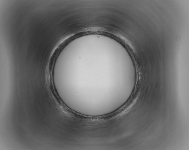 X0000113171117200909040928