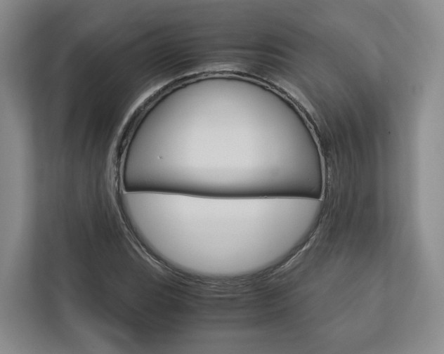 X0000113171119200909040928