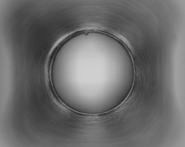 X0000113171120200909040928