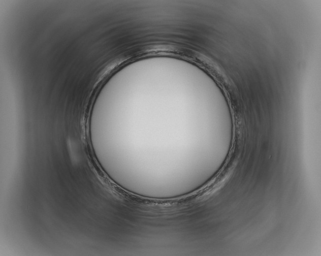 X0000113171121200909040928