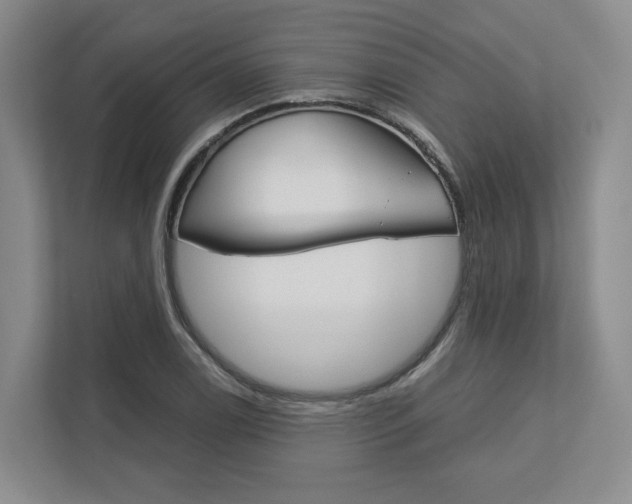 X0000113171122200909040928