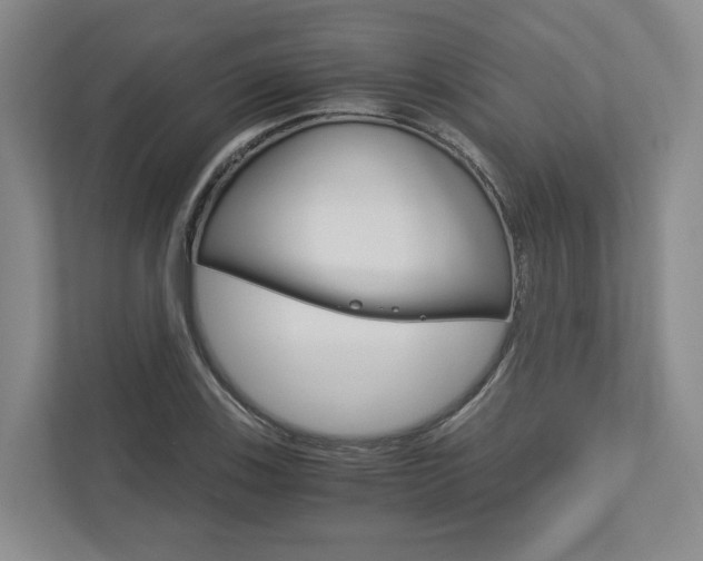 X0000113171123200909040928