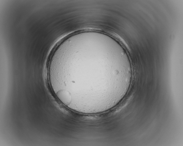 X0000113171125200909040928