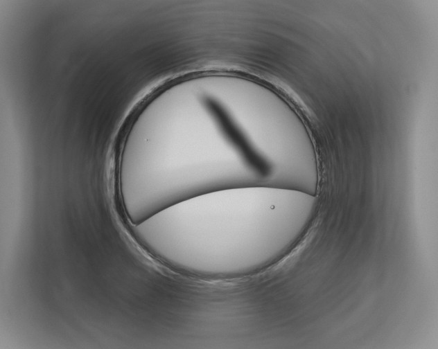 X0000113171126200909040928