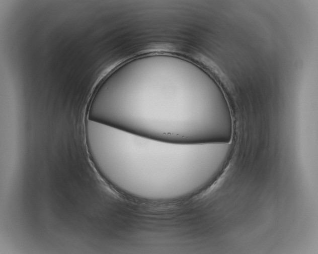 X0000113171129200909040928