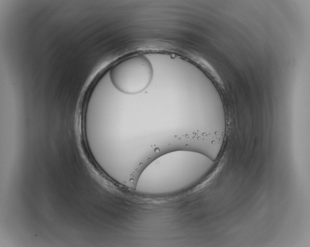 X0000113171130200909040928
