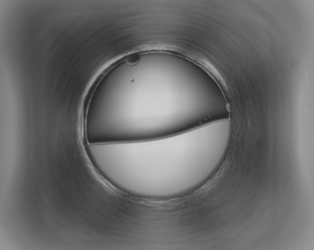 X0000113171132200909040929