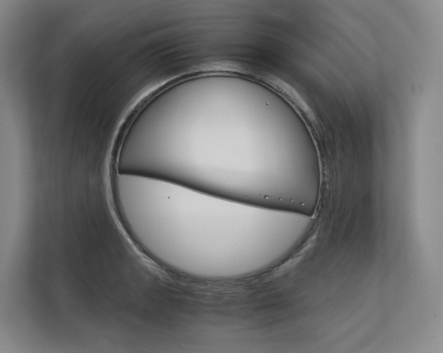 X0000113171133200909040929