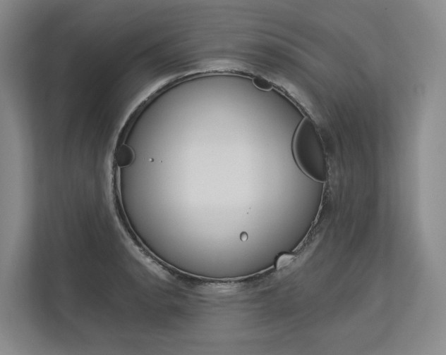X0000113171134200909040929