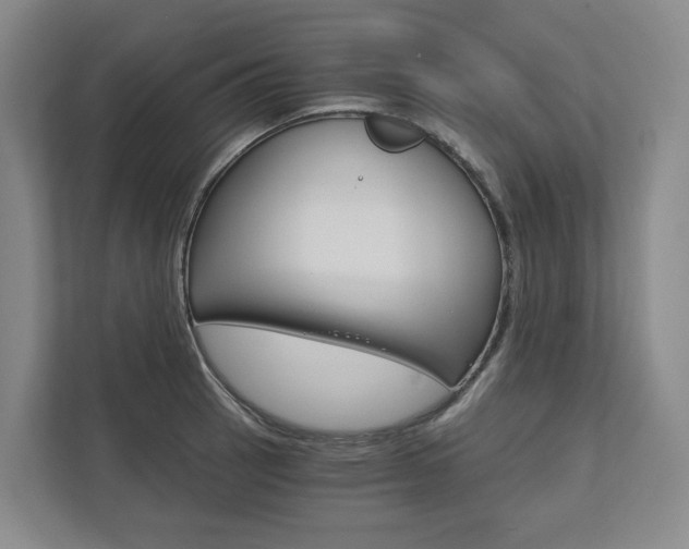 X0000113171137200909040929