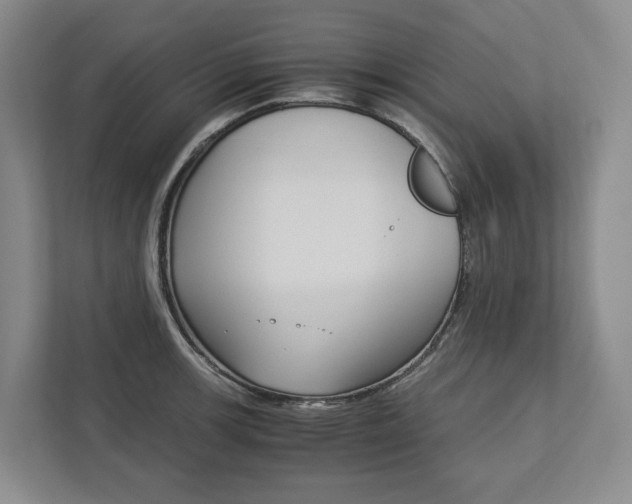 X0000113171139200909040929