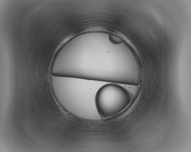 X0000113171145200909040929