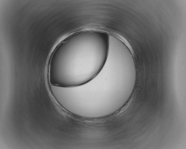 X0000113171146200909040929