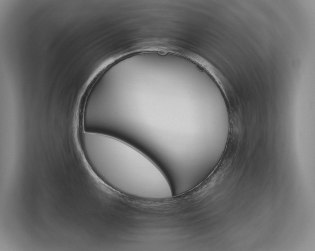 X0000113171147200909040929