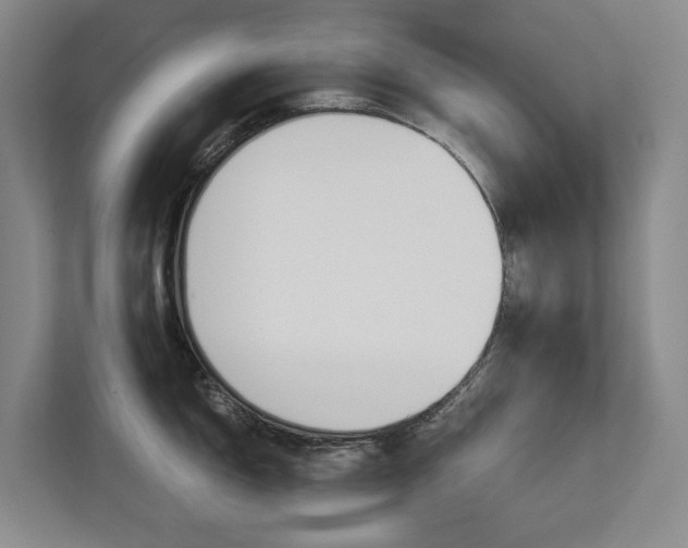 X0000113171150200909040929