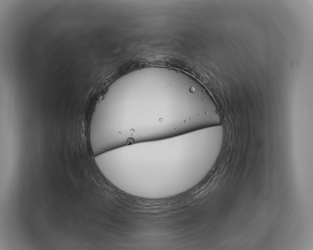 X0000113171156200909040928